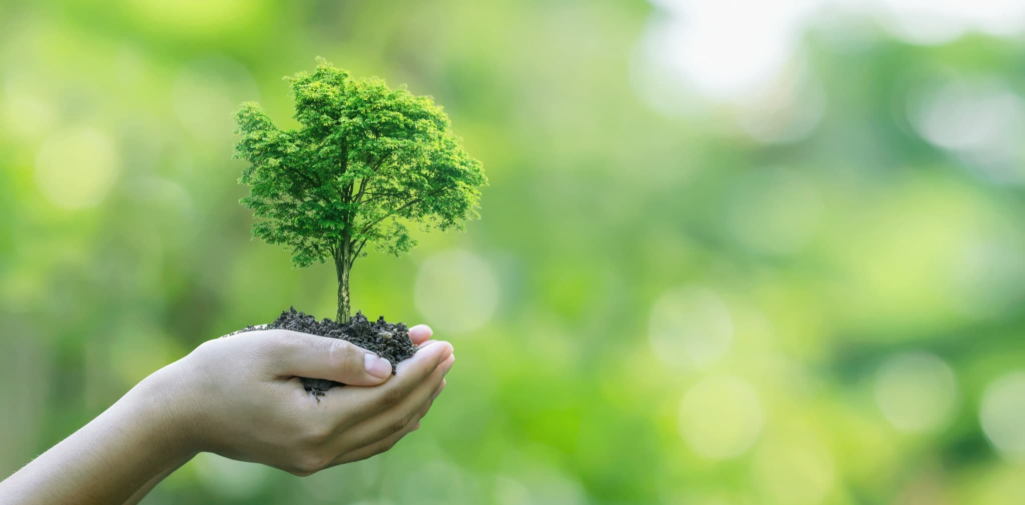 Welcome to Agreen Choice